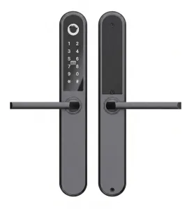 Apollo Smart Lock, Multipoint & Mortise Lock 2